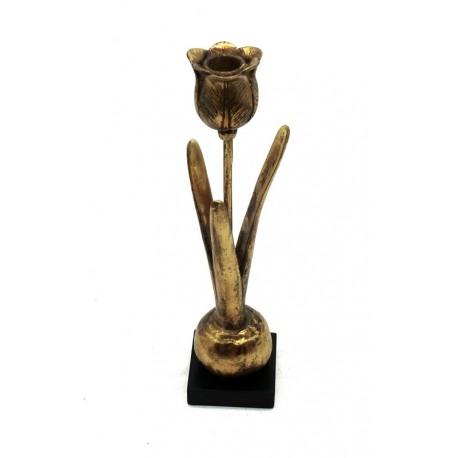 Tulpe gold a. Fuss