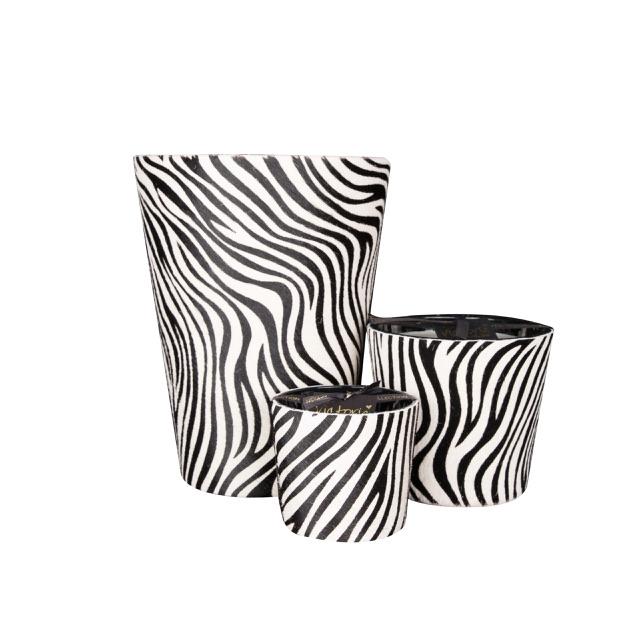 Duftkerze hairy medium ZEBRA H 13/D 14 cm